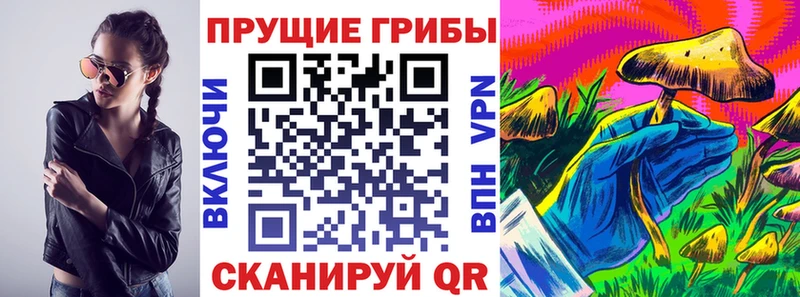 Псилоцибиновые грибы мицелий  Купить  Анадырь 